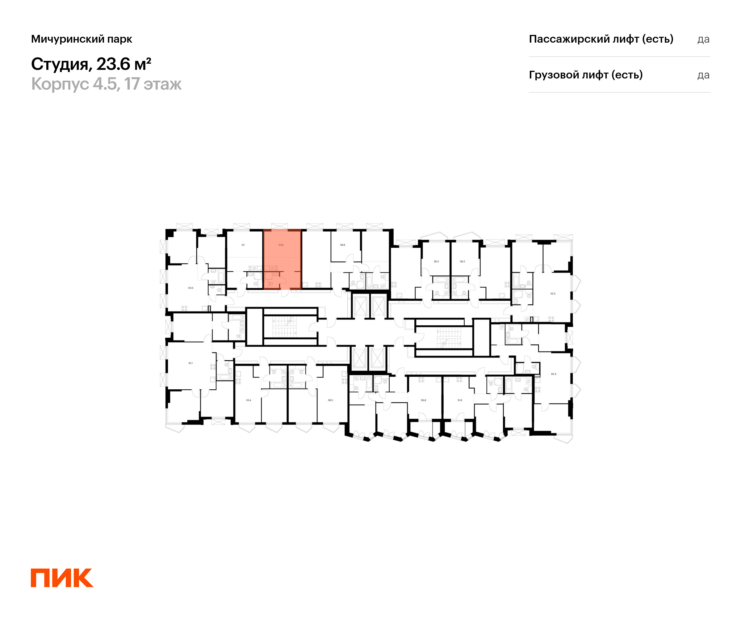 23.6 кв.м, Мичуринский парк, изображение-2