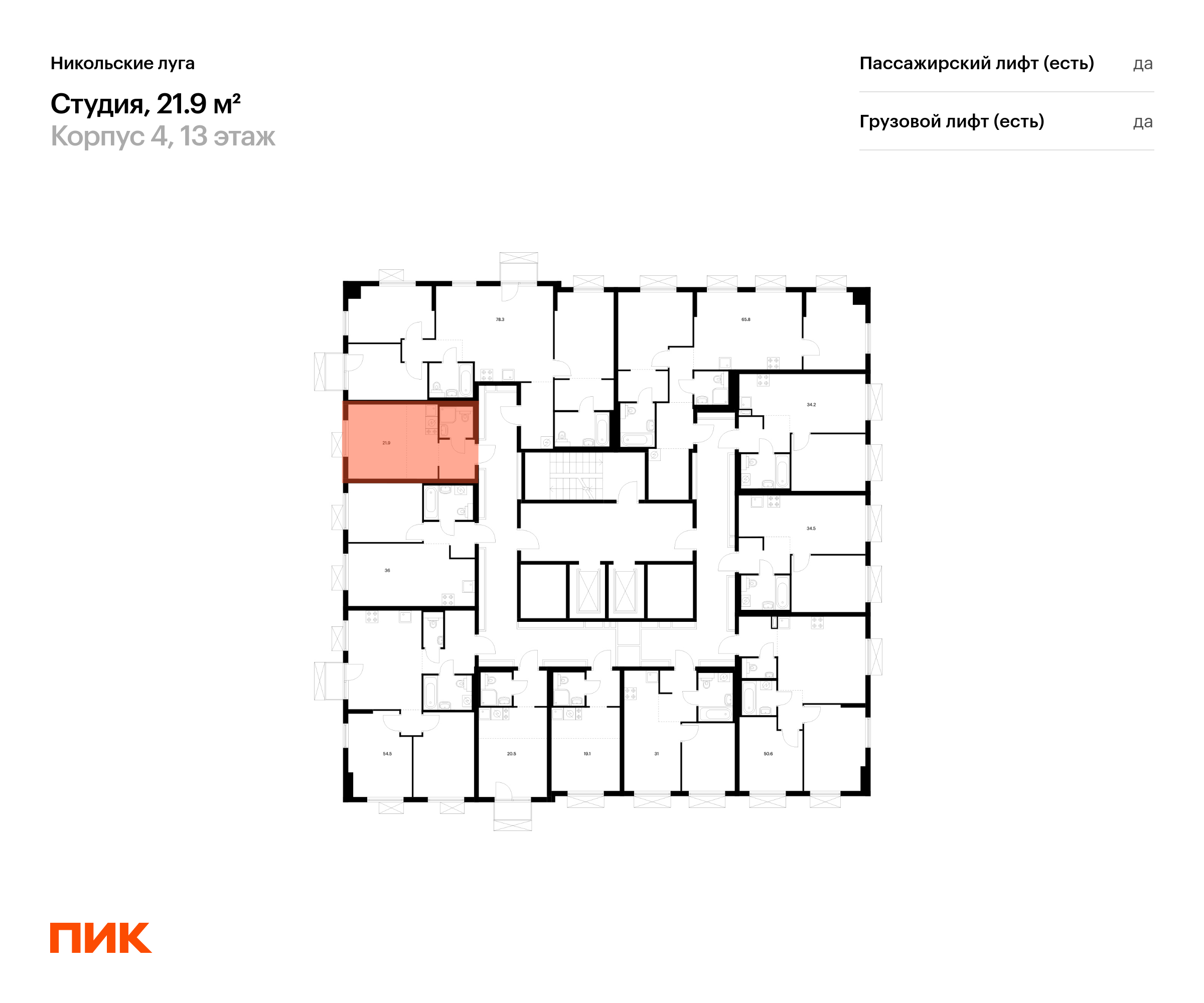 21.9 кв.м, Никольские луга, изображение-2