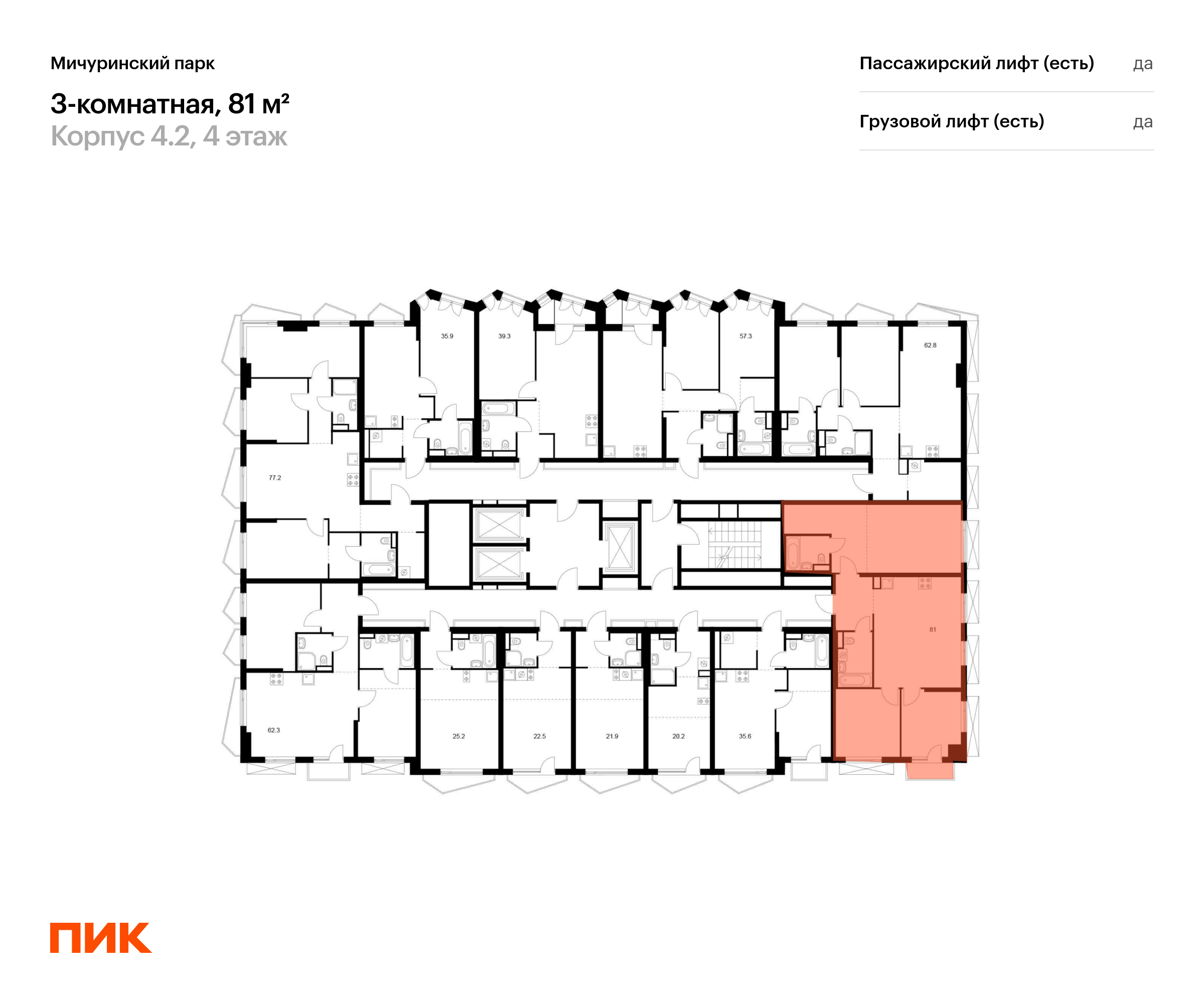 3-комнатная квартира, 81 кв.м, Мичуринский парк, изображение-2