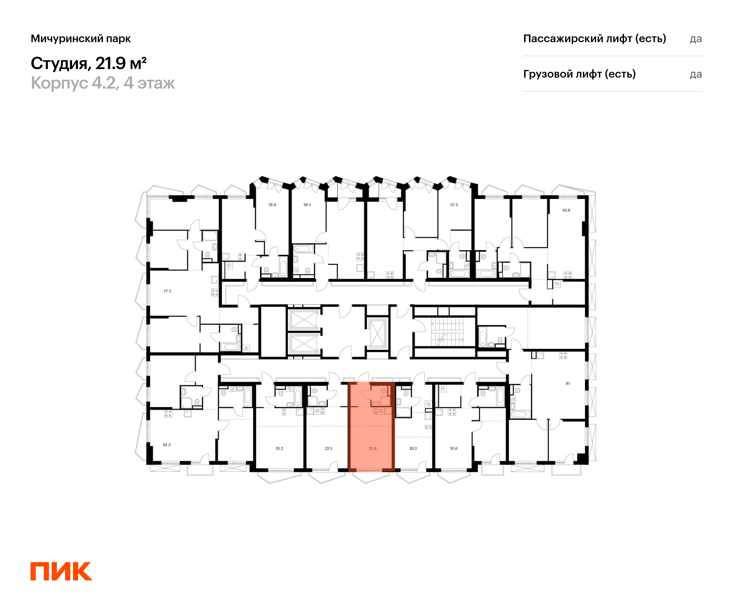 21.9 кв.м, Мичуринский парк, изображение-2