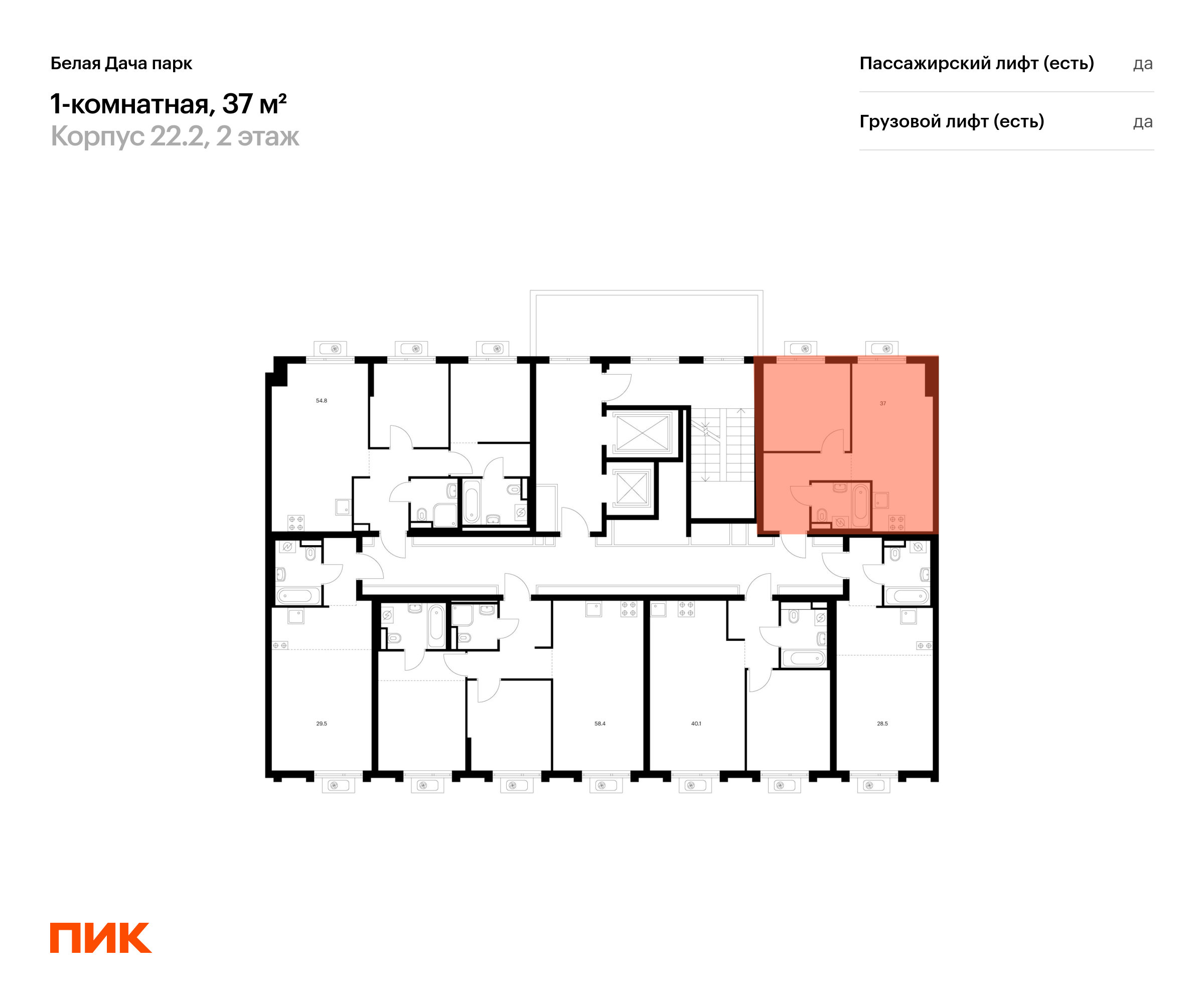 1-комнатная квартира, 37 кв.м, Белая Дача парк, изображение-2