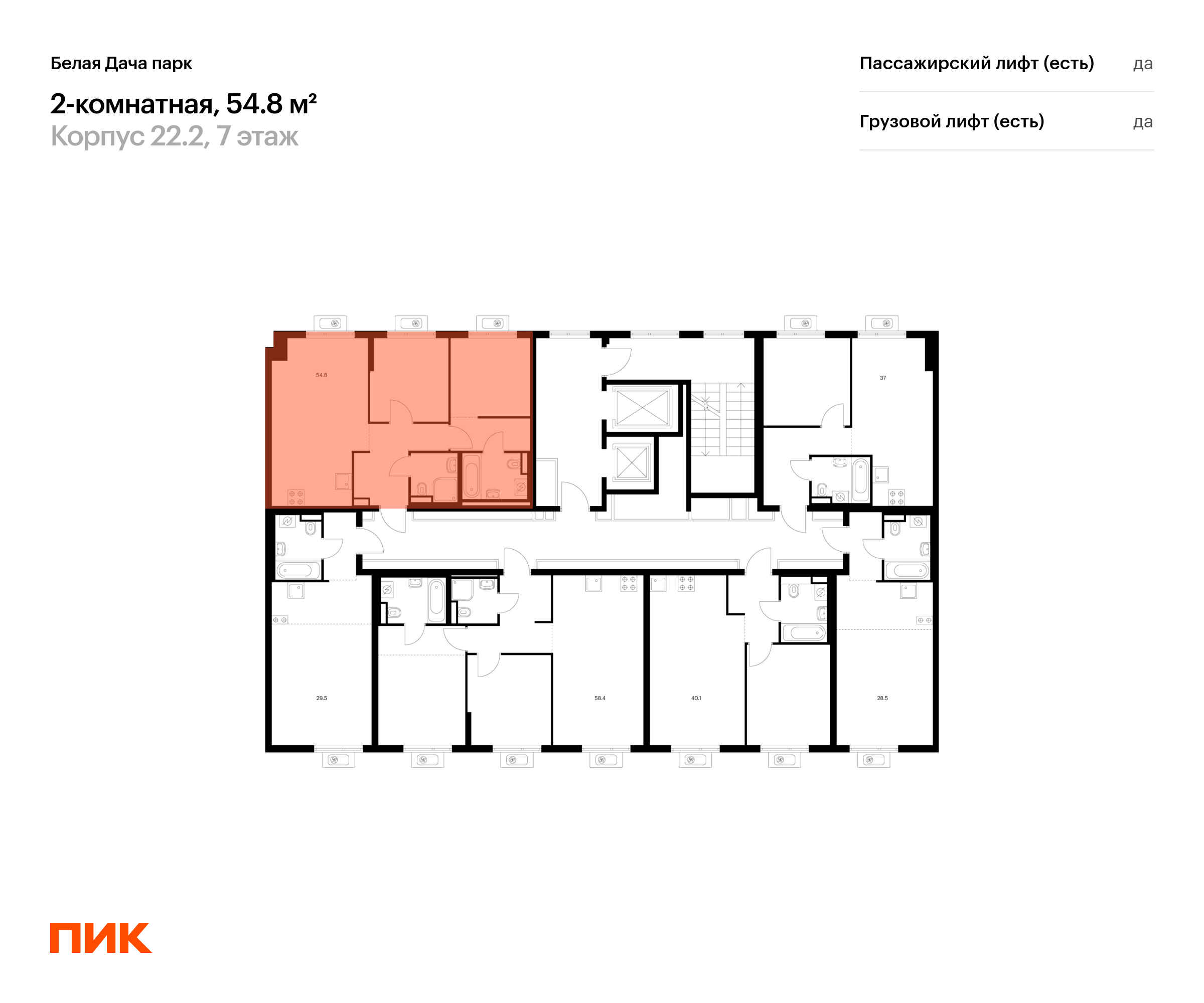 2-комнатная квартира, 54.8 кв.м, Белая Дача парк, изображение-2
