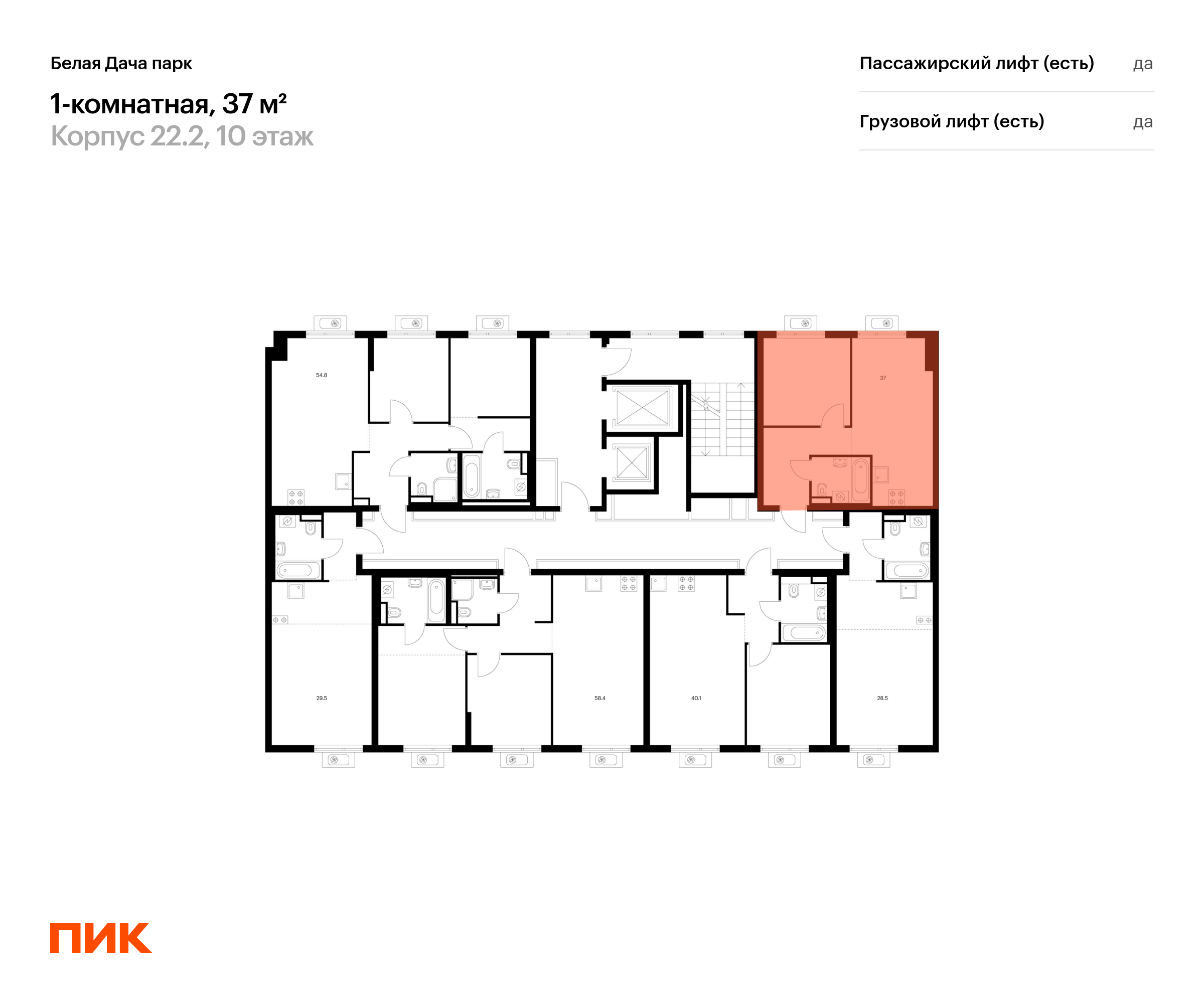 1-комнатная квартира, 37 кв.м, Белая Дача парк, изображение-2