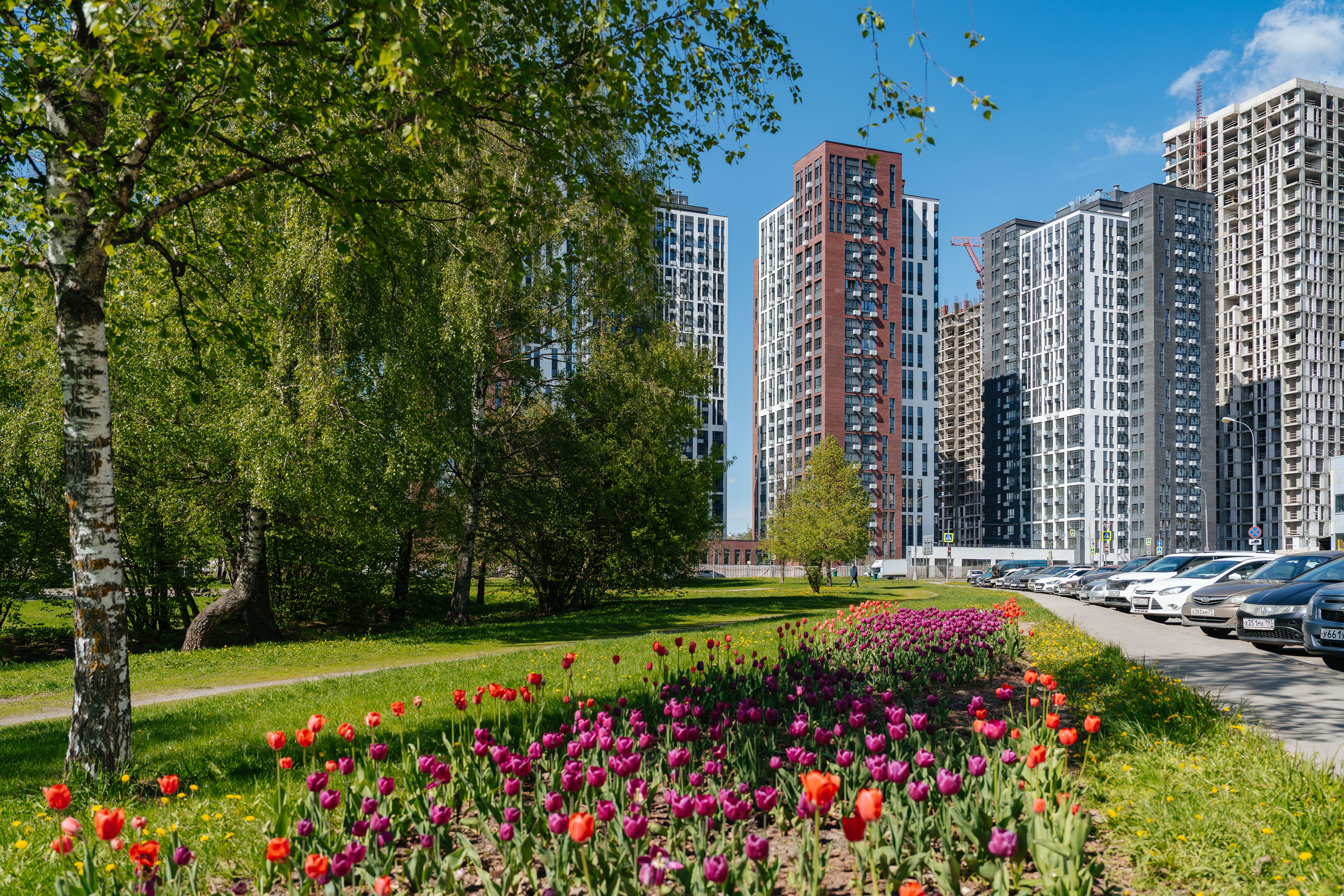 2-комнатная квартира, 40.3 кв.м, ЖК «Южные Сады», изображение-10 2-комнатная квартира, 40.3 кв.м, ЖК «Южные Сады», изображение-10