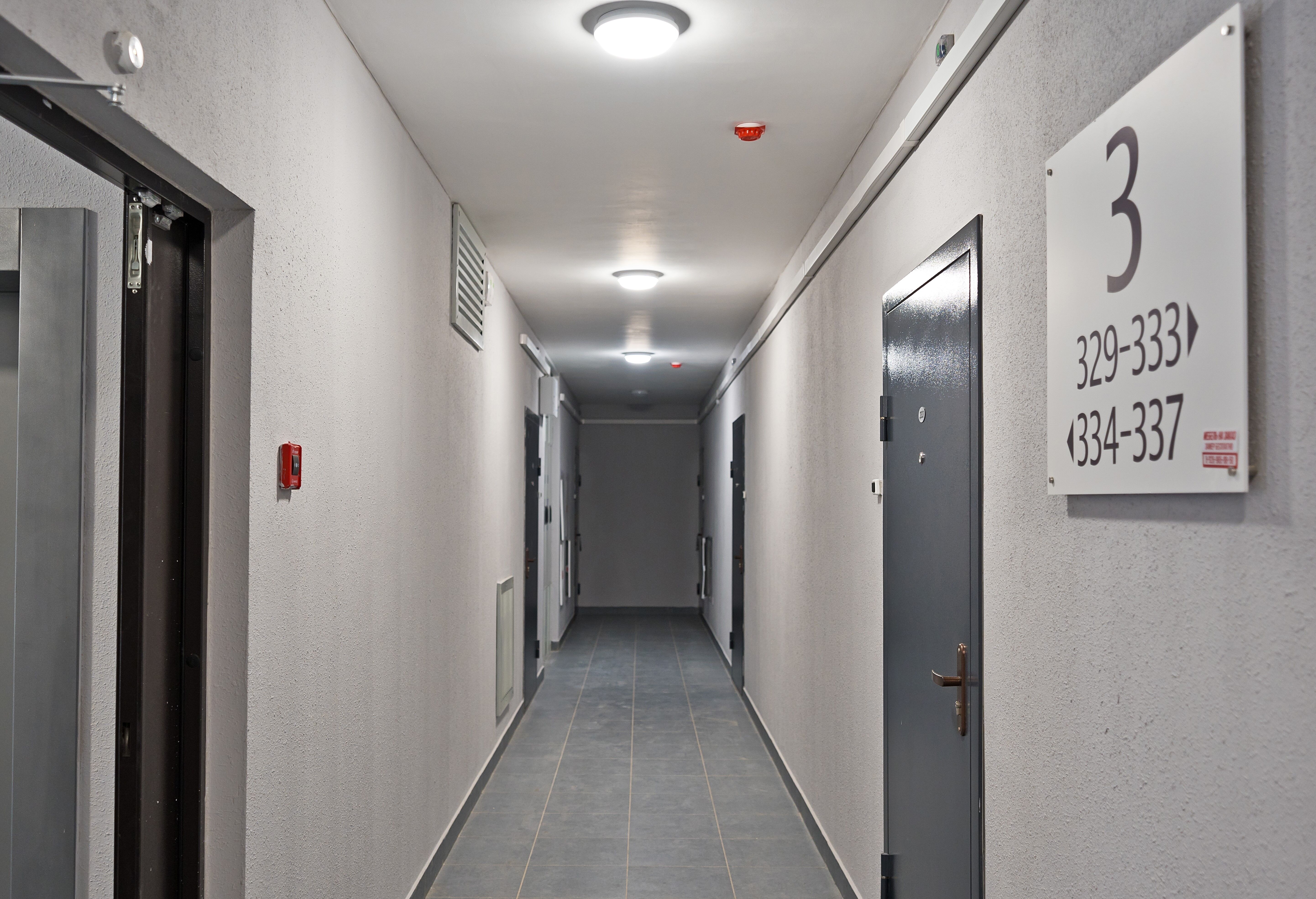 Планировка Студия 11