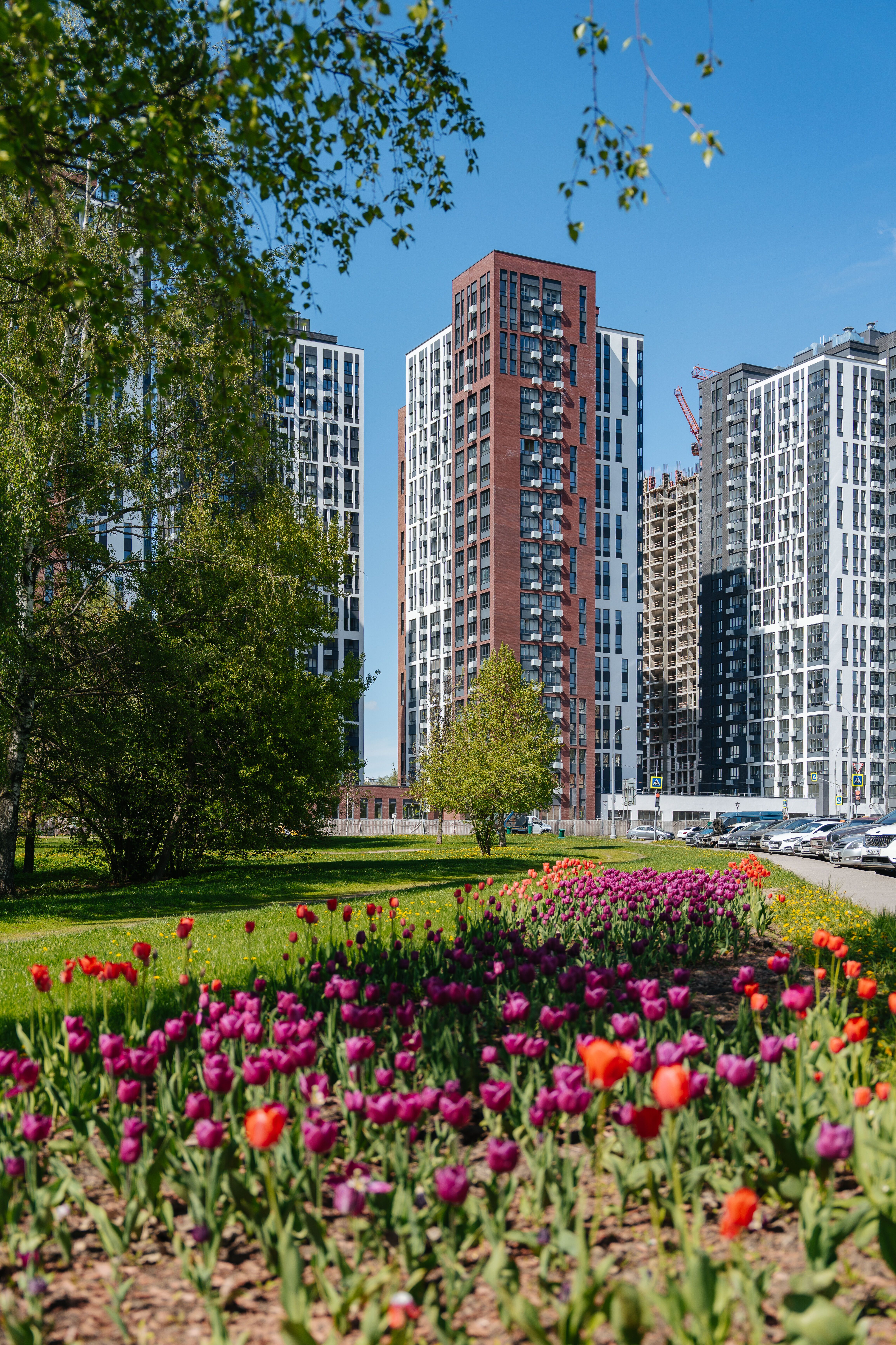 2-комнатная квартира, 40.3 кв.м, ЖК «Южные Сады», изображение-7 2-комнатная квартира, 40.3 кв.м, ЖК «Южные Сады», изображение-7